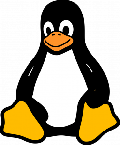linux, unix, tux-2025130.jpg